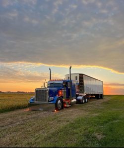 Auto Transport